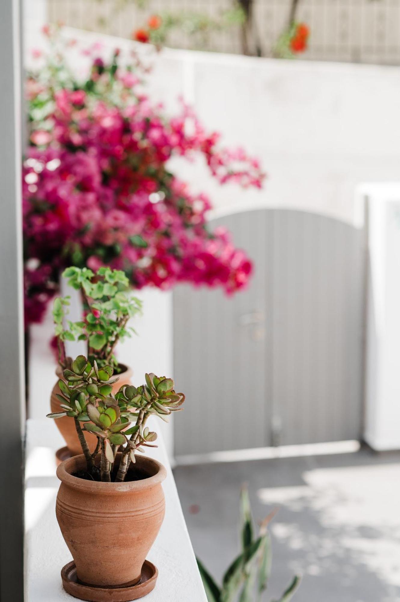 Amphitrite Suites Santorini Vóthon Zewnętrze zdjęcie
